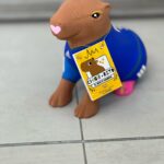 WhatsApp Image 2025-05-19 at 12.22.11 PM (1)