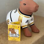 WhatsApp Image 2025-05-19 at 12.22.11 PM (4)